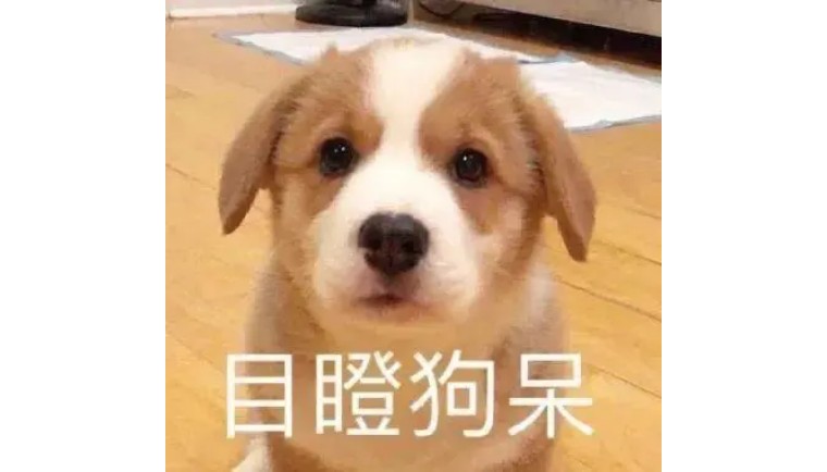 ohmygod怎么用在句子里,ohmygod是一个词还是一个句子