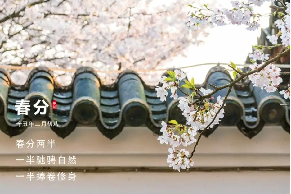 二十四节气春分食谱,二十四节气春分谚语