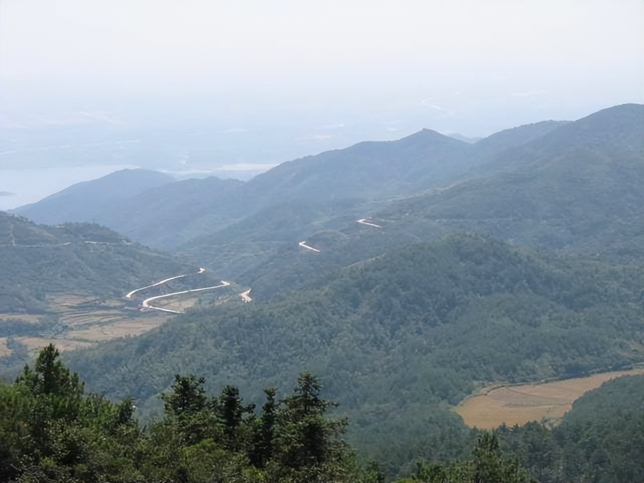 1955年十大元帅授衔，蒋介石指着陈毅对宋美龄说：这个人太厉害了