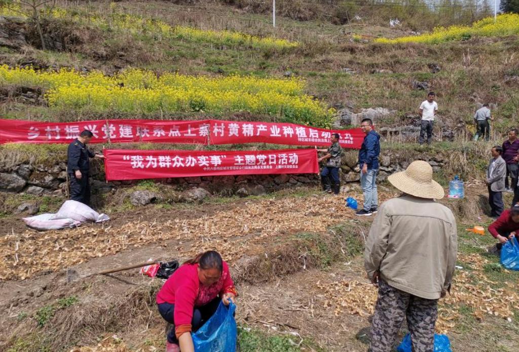 六枝特区城市综合执法局联合关寨镇上寨村——采取“五个一”措施推进中药材黄精种植地项目落实