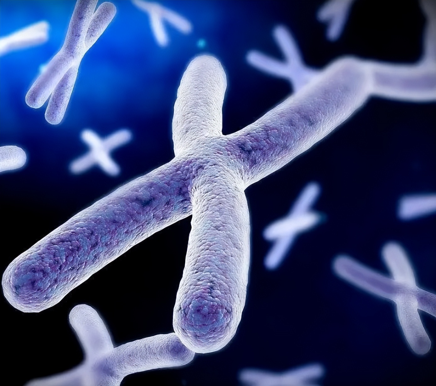 阴阳人有没有存在,阴阳人存在么