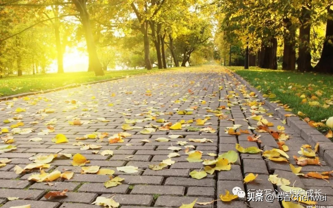 高峰校长未来学校,高峰校长幸福教育