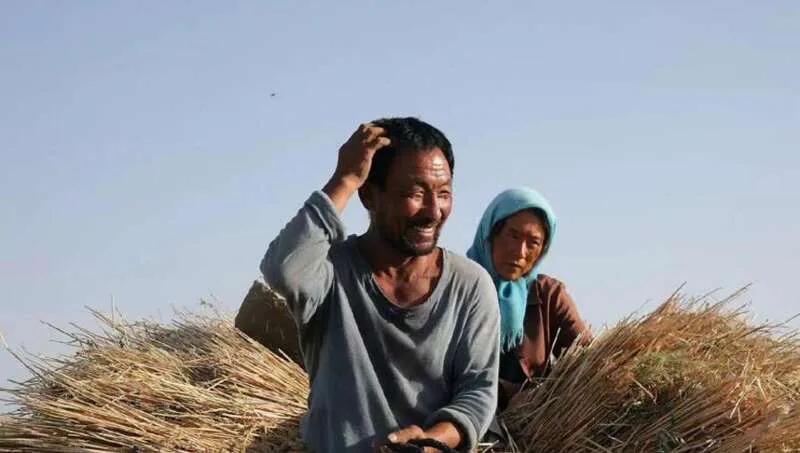 隐入尘烟马友铁结局,隐入尘烟马友铁扮演者