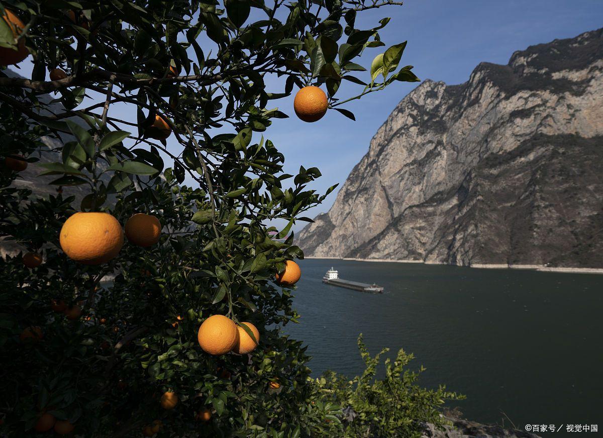 去三峡必买的特产,三峡旅游特产