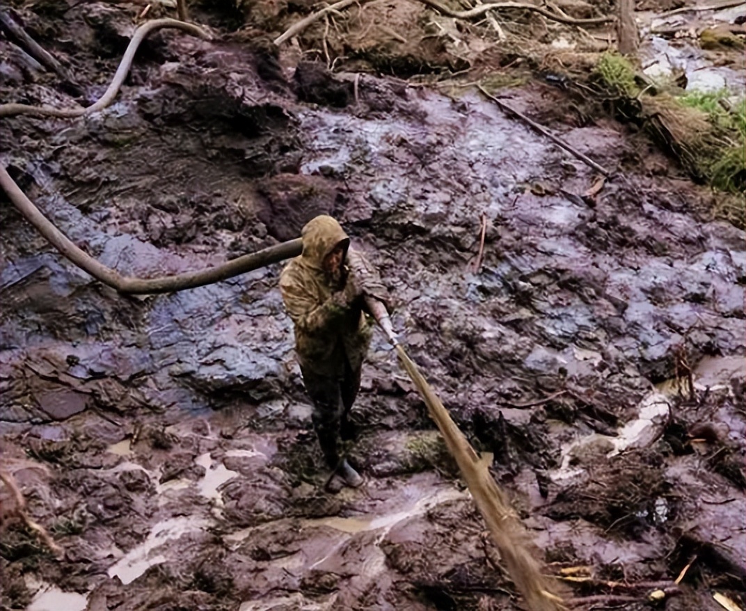 北极挖出冰冻4万年的生物,地下挖出千年老黄金