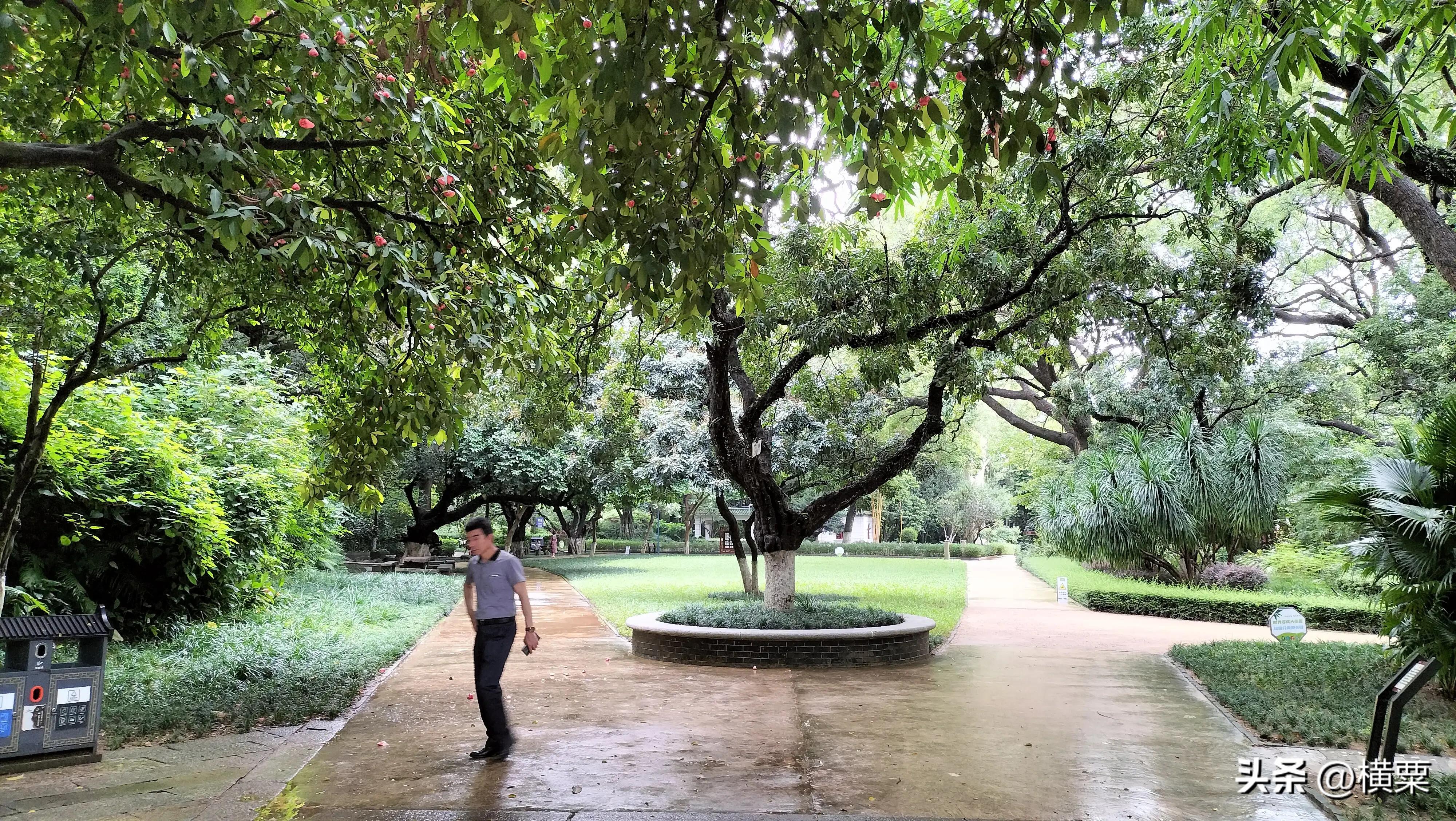 珠海唐家湾有什么好玩的地方,珠海唐家湾有什么