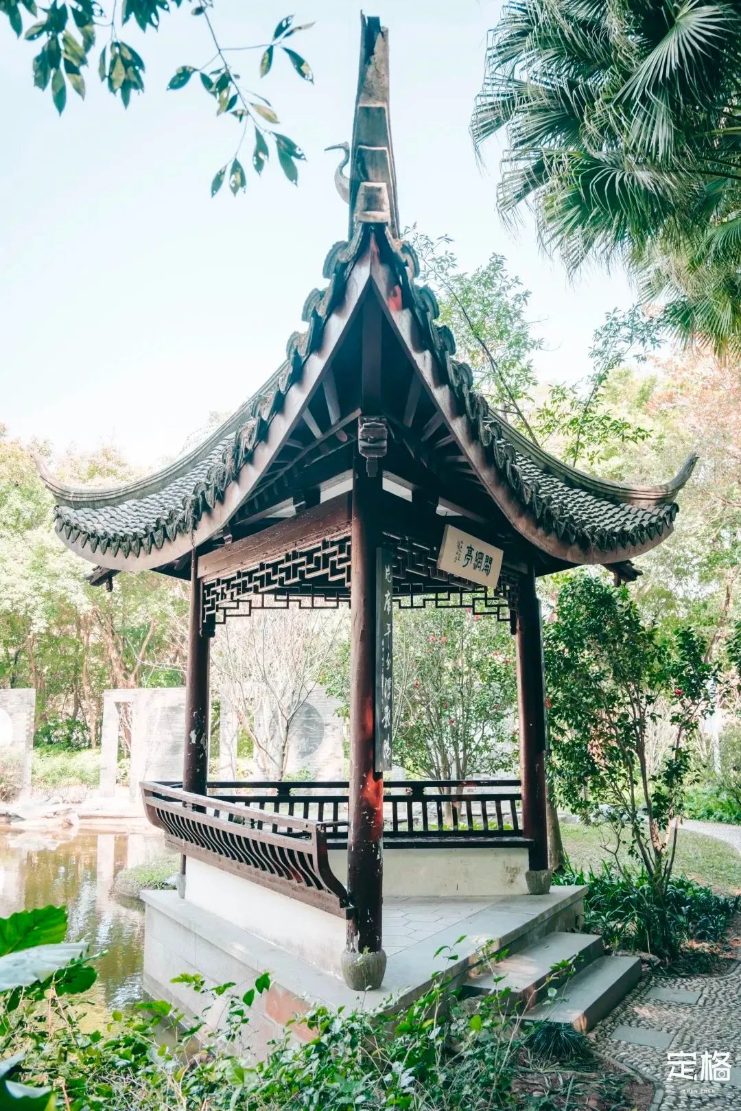 周末来深圳这10个地方免费玩,深圳周末去哪玩免费的地方