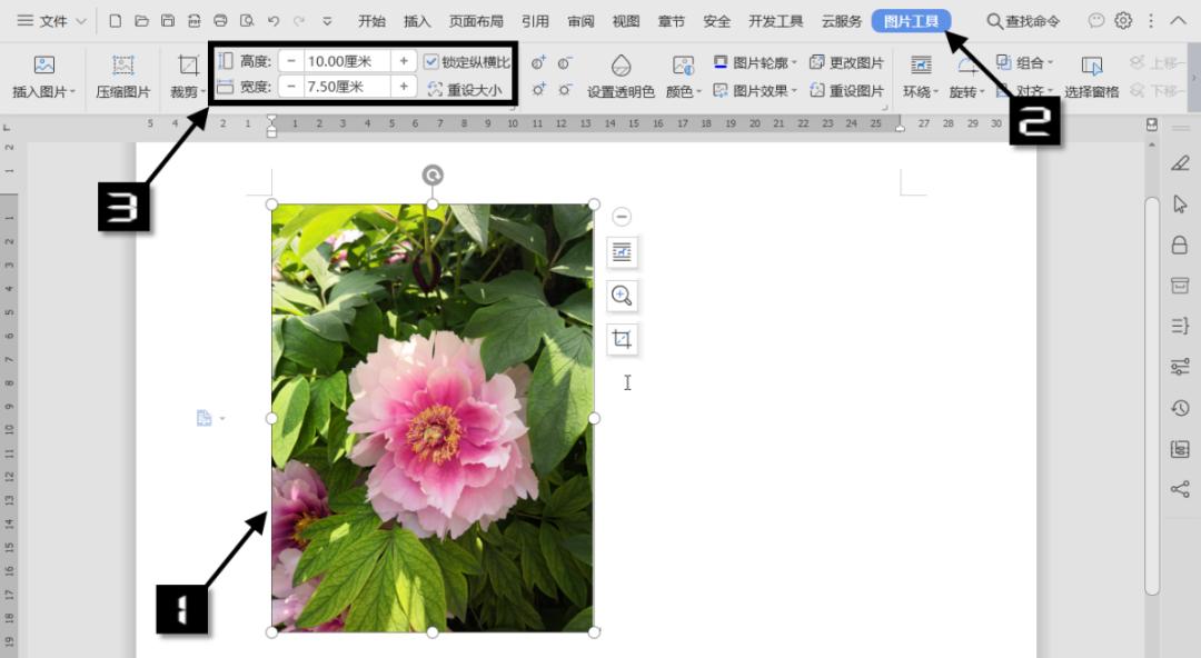 WPS技巧：调整图片格式