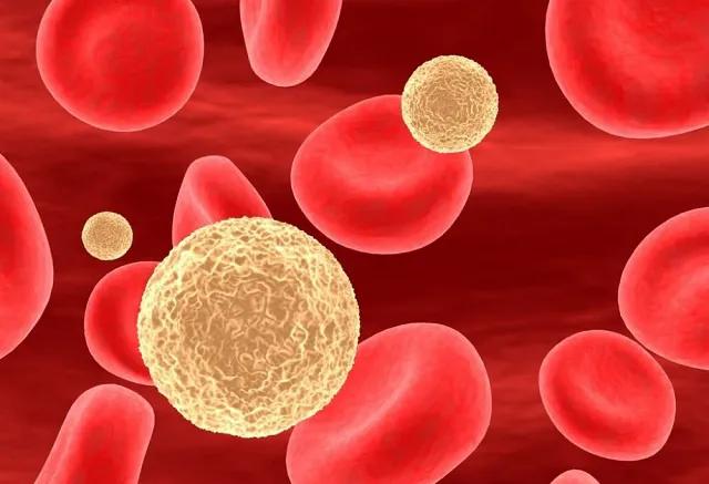 胆固醇正常范围男女一样吗,胆固醇值范围是多少正常