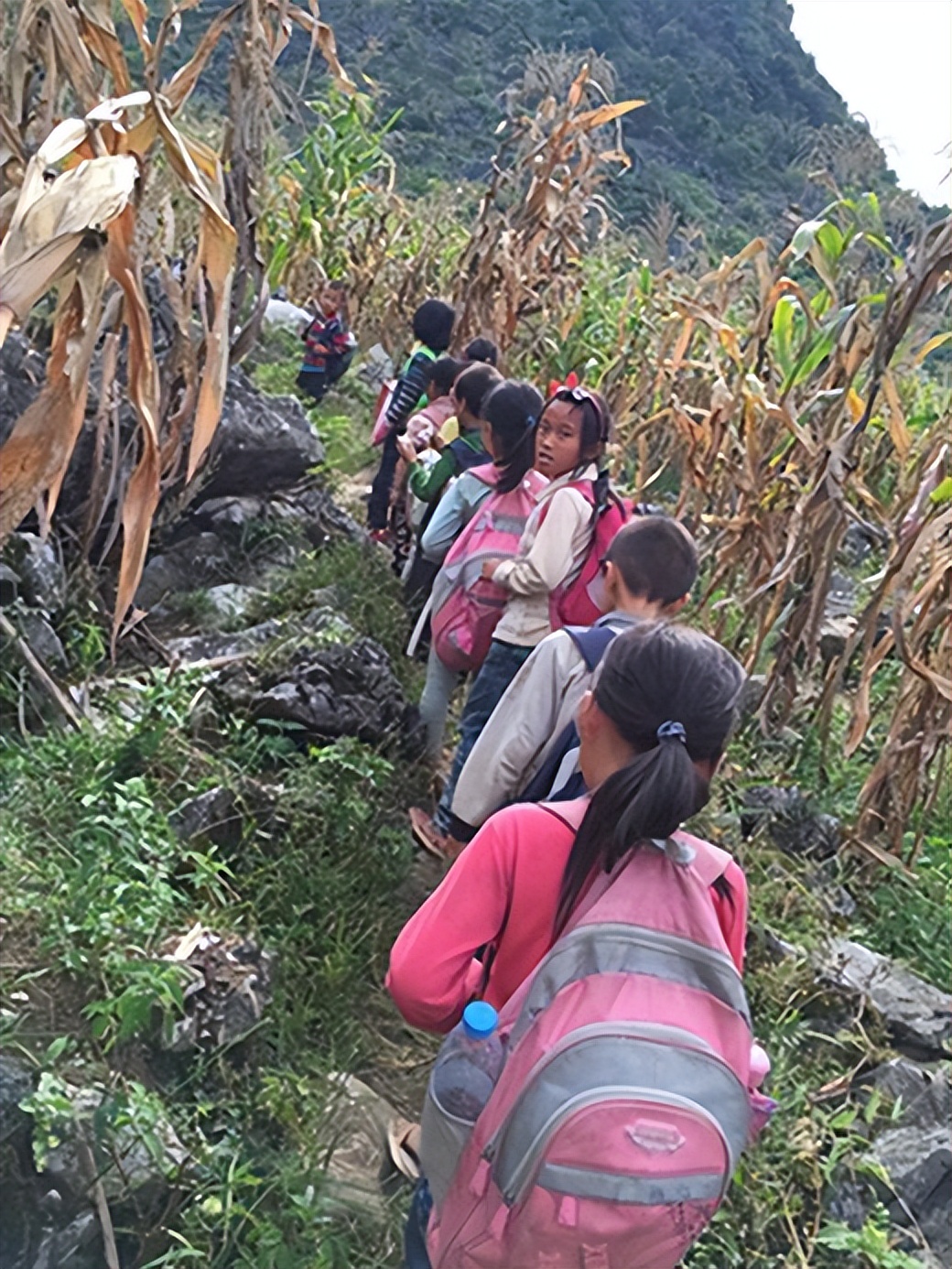 纪念初中毕业五十周年谢老师教育赞母校巨变