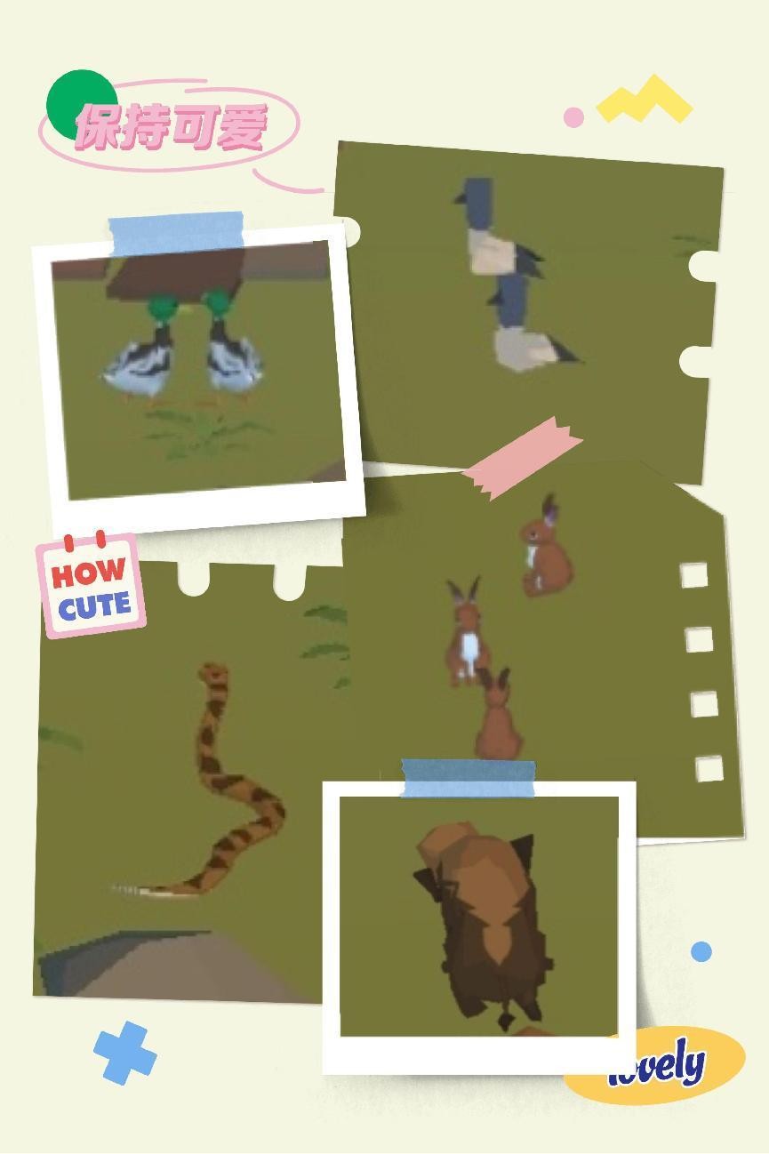 坐拥“小镇动物园”？《边境之旅》治愈系日常狂戳萌点