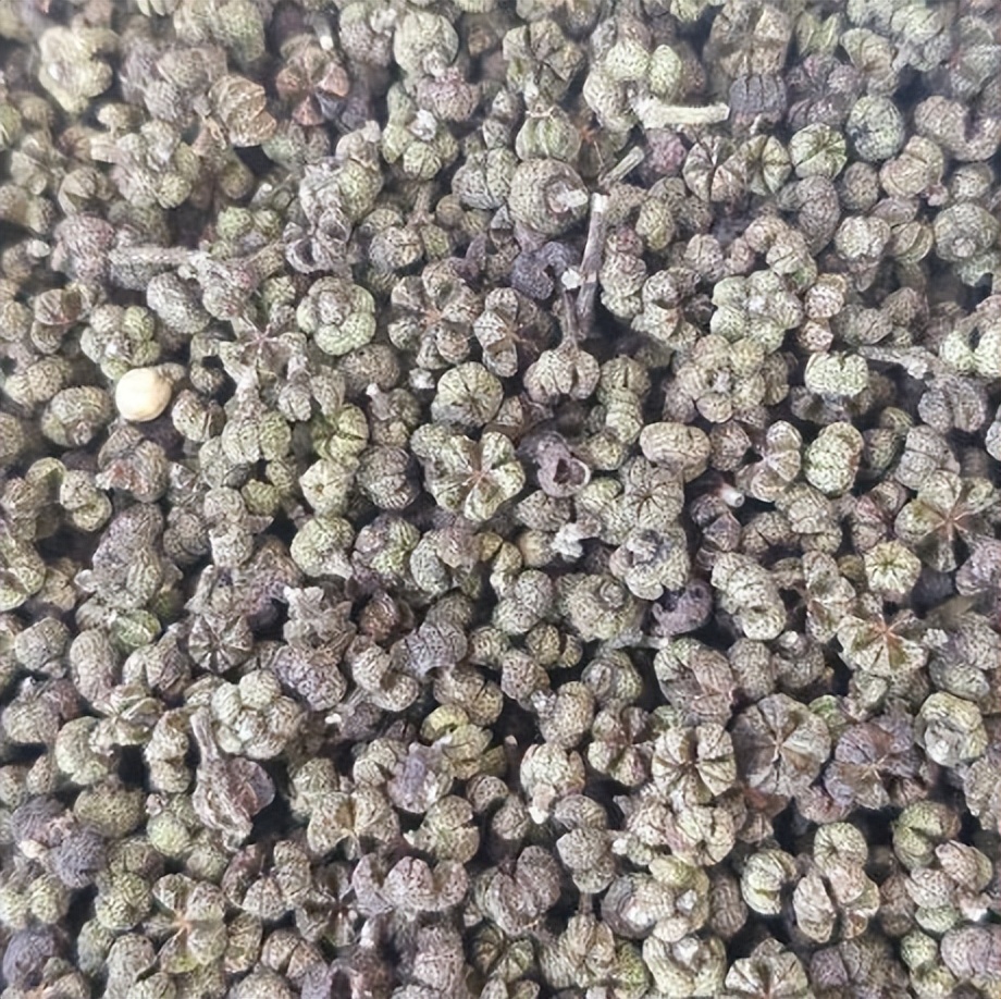 药名吴茱萸的作用,吴茱萸辛温