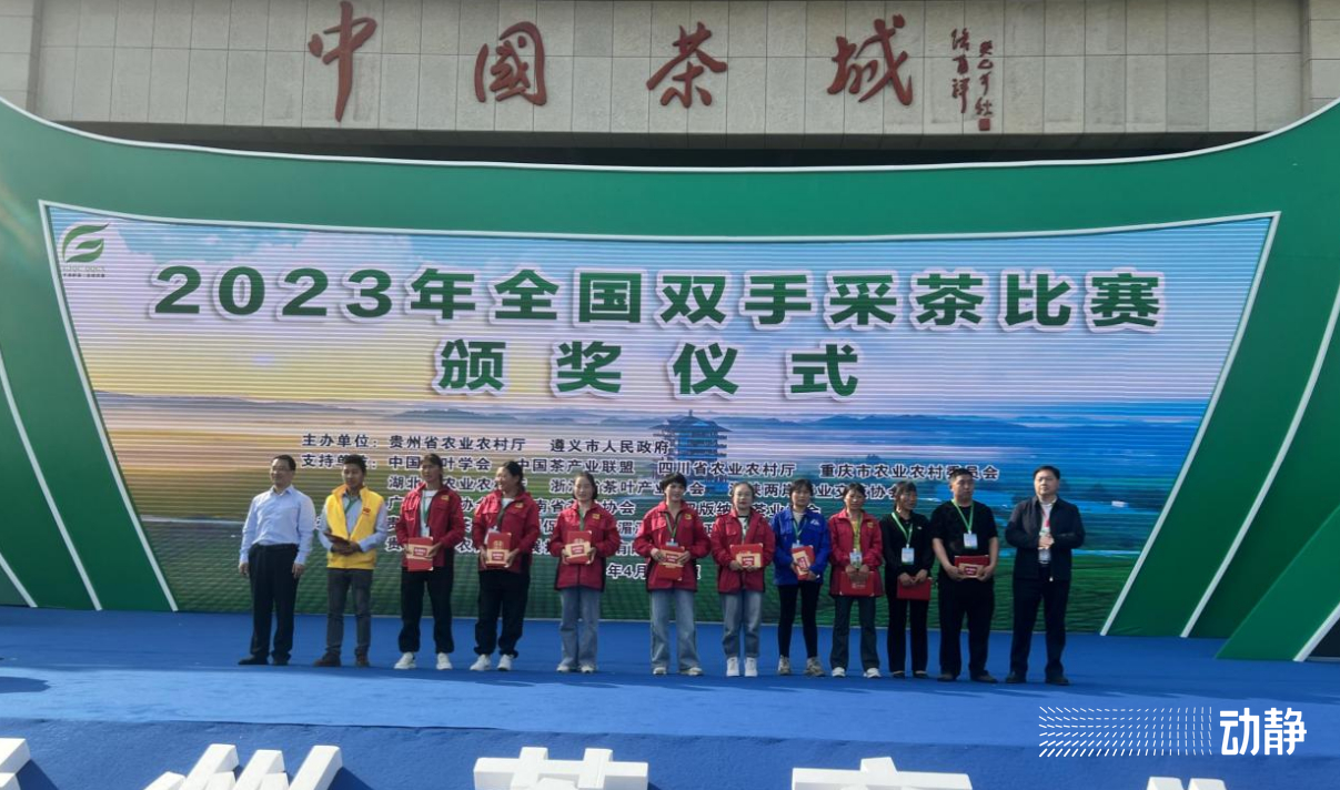 金手指大赛是真的吗,金手指采茶竞赛