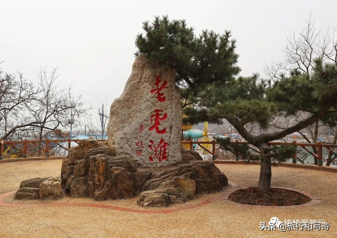 大连老虎滩海洋公园停车场,大连老虎滩海洋公园租轮椅