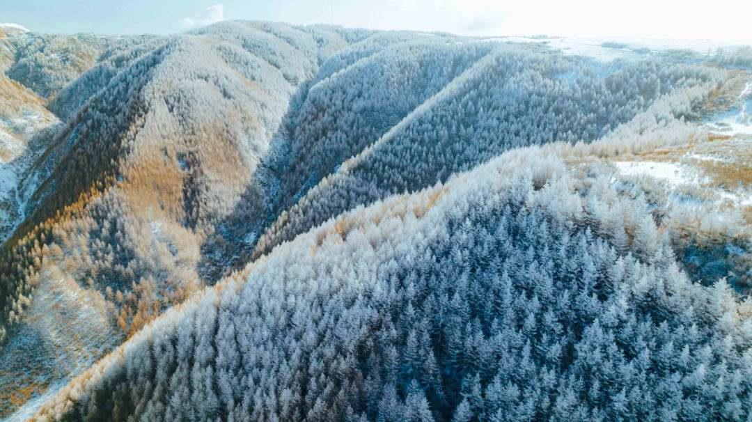 天然氧吧养生避暑,天然氧吧休闲养生的好地方