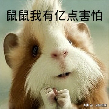 食物到底要不要趁热吃,食物趁热吃真的对吗有什么危害