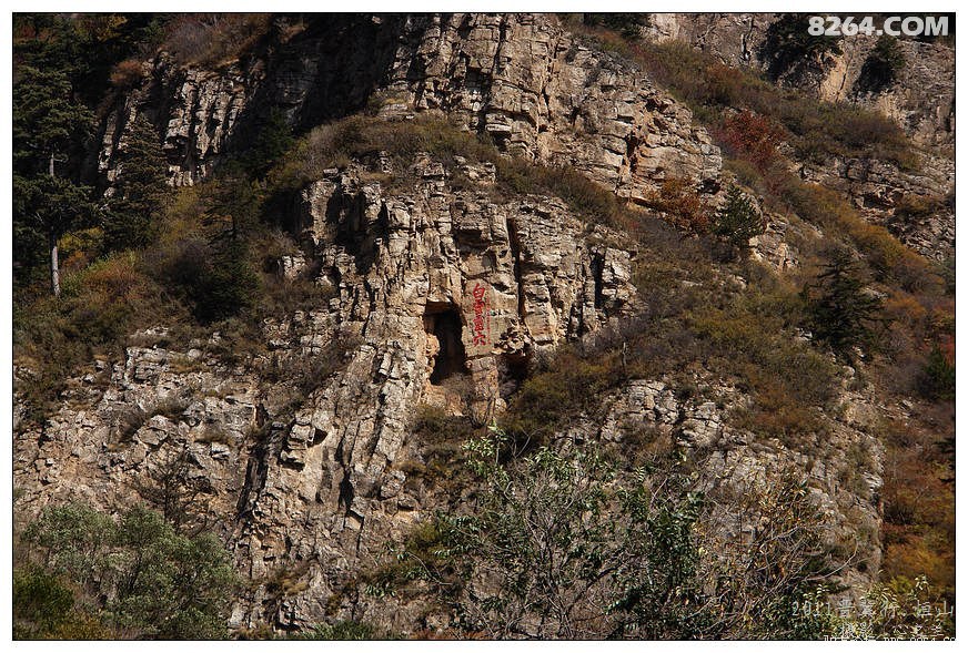 晋善晋美短视频,晋善晋美舞蹈视频