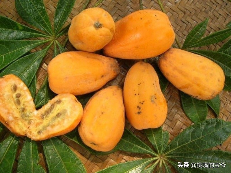 国土面积小于三万的国家,国土面积不足的省