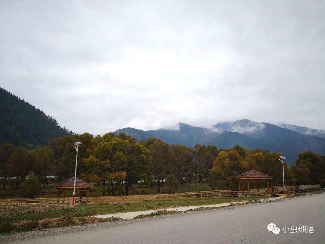 马不停蹄地悠赏之诺尔盖草原