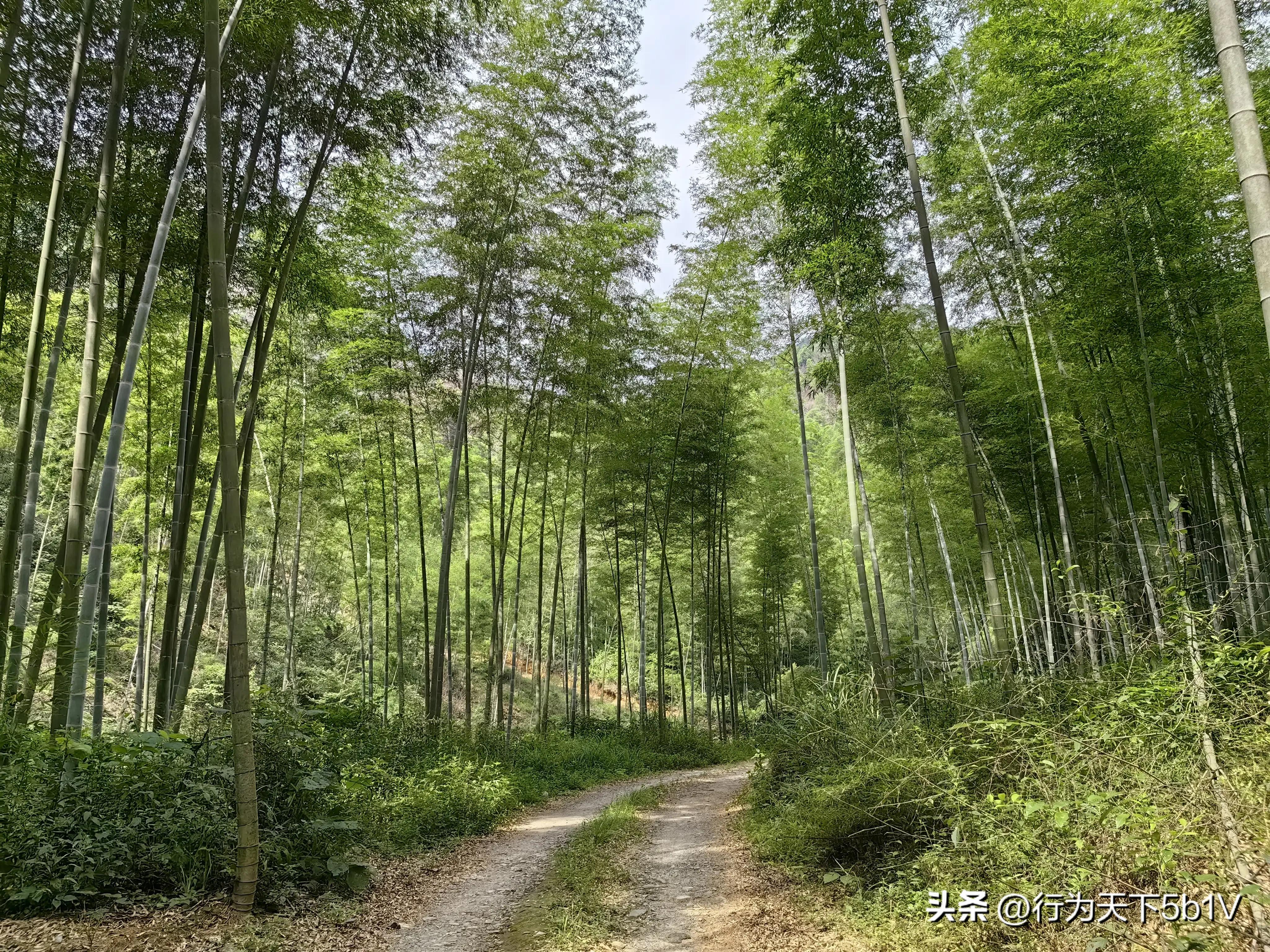 【探秘金紫山下的清凉秘境】行走在资源资江源大峡谷的风景线上