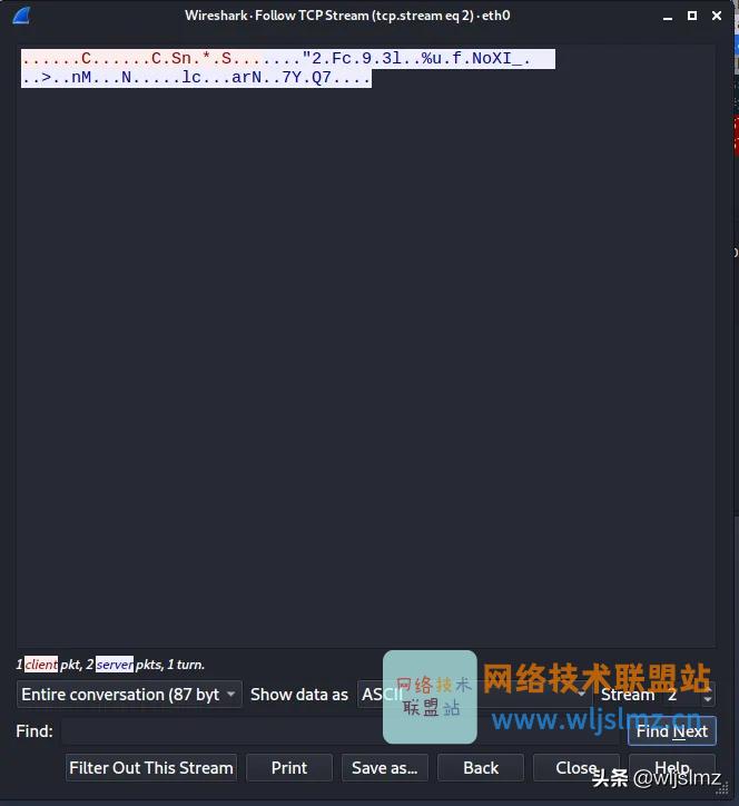 使用wireshark捕获ping数据包,使用wireshark捕获一个ip数据包