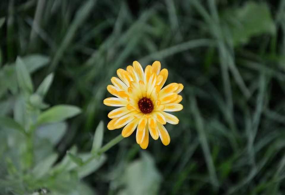 与人交往中如何识人,如何知道对方是否值得深交