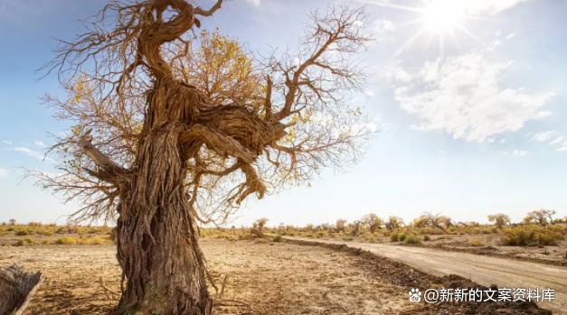家庭琐事心情烦躁的朋友圈说说,经常莫名其妙发脾气很烦躁的说说