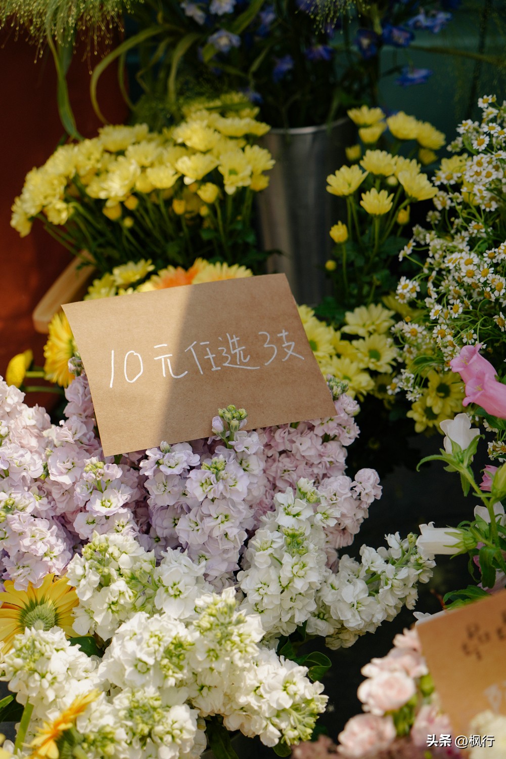 北京初夏，去好玩的市集，结识有趣的灵魂，1万种咖啡+伍德吃托克