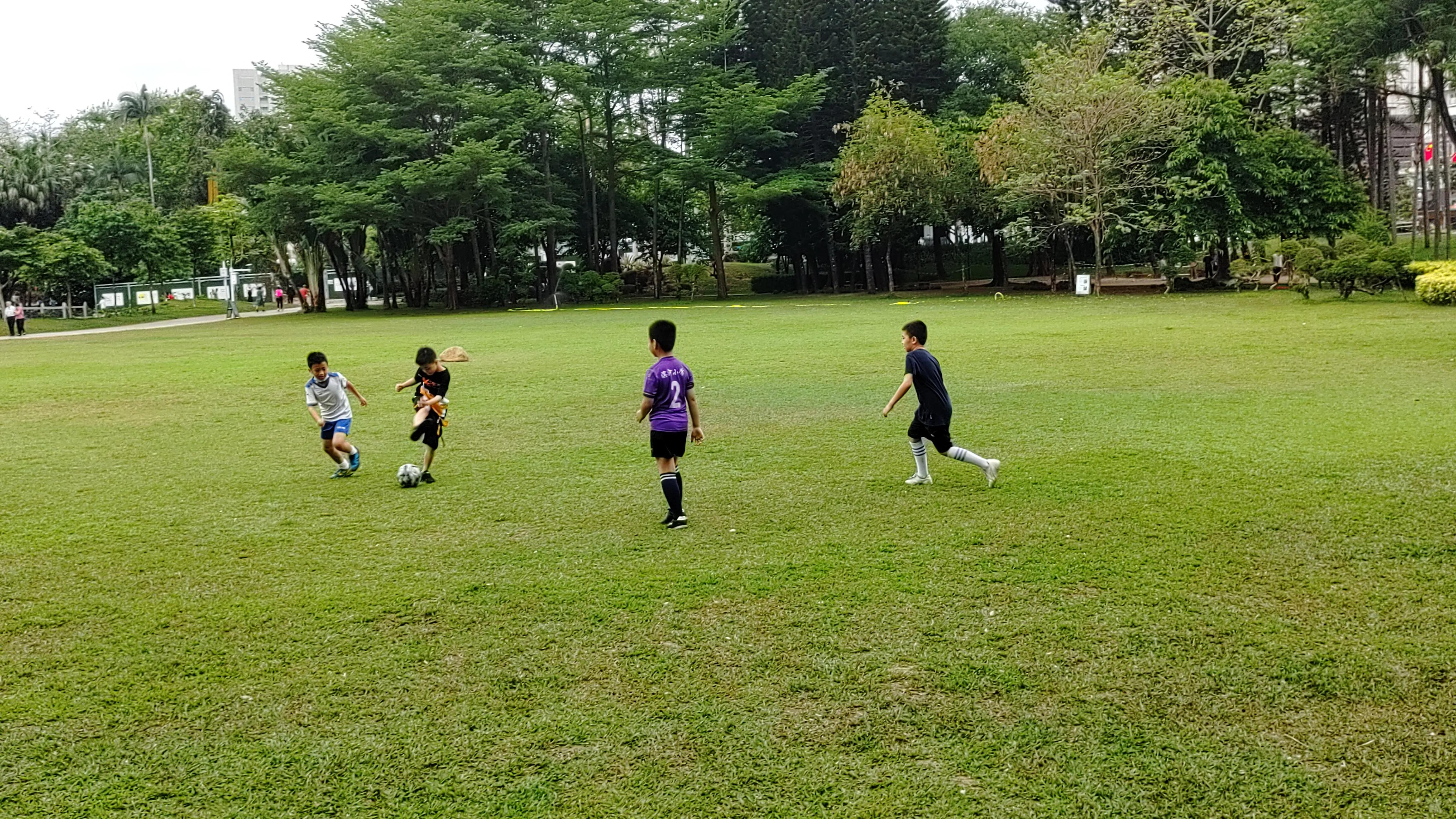 因为你的美点缀了所有一切,因为你的美惊艳了我的生命