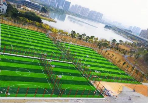 表彰奖励荣誉称号,获全国优秀荣誉称号