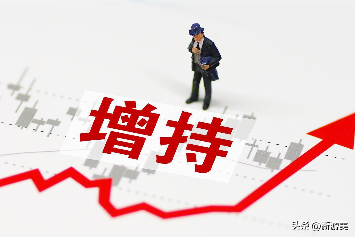 新海宜最新质押消息,新海宜大股东增持