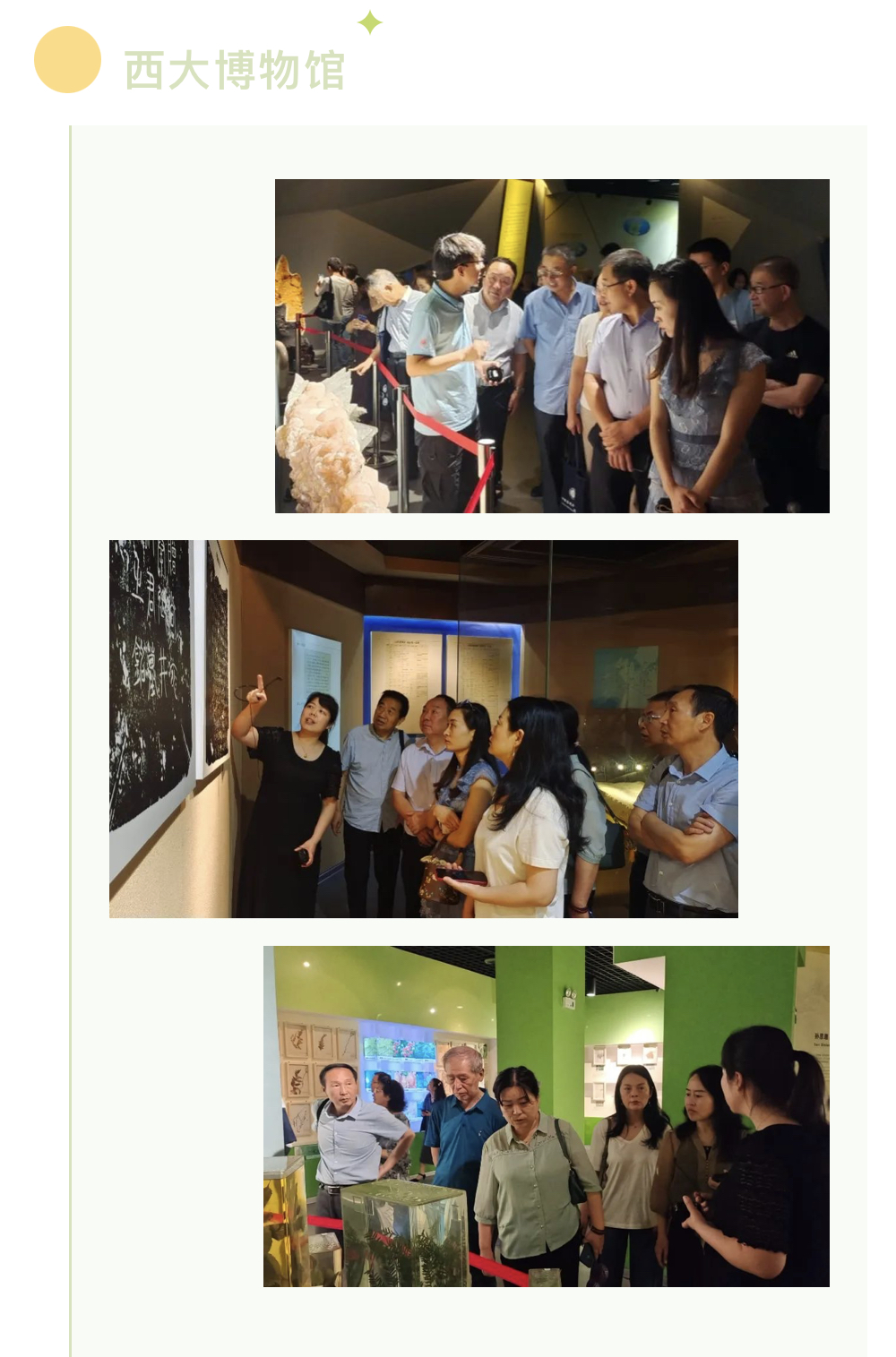 作家回家活动,中国作家协会邀请36位作家回家