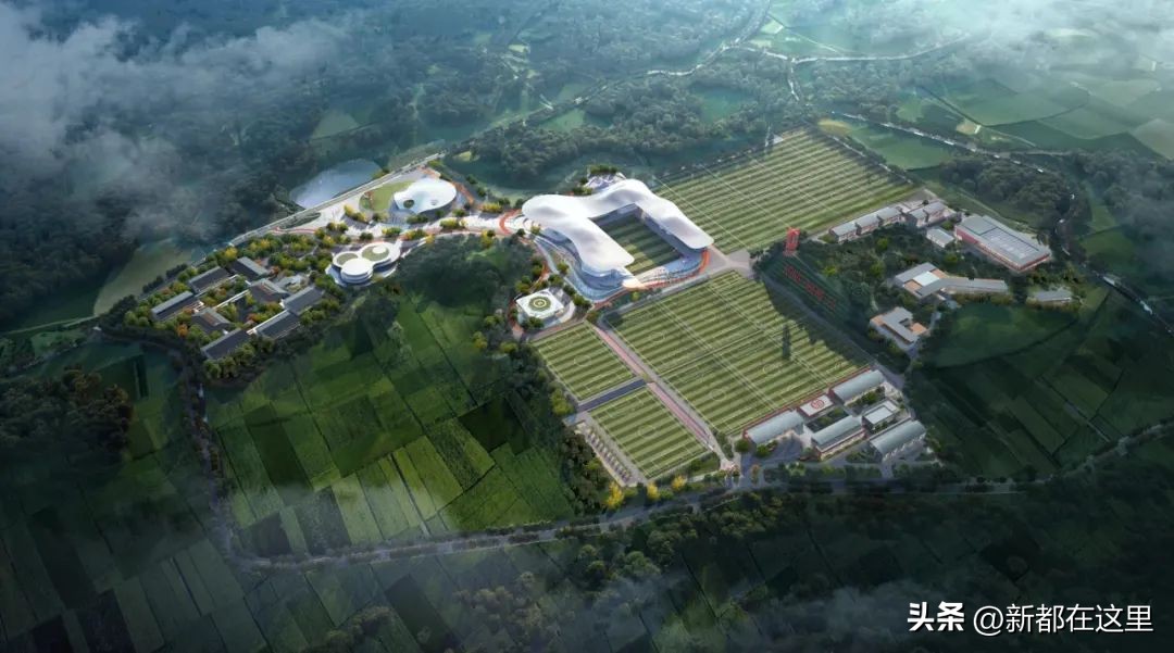 超燃！新都这支球队“赢麻了”