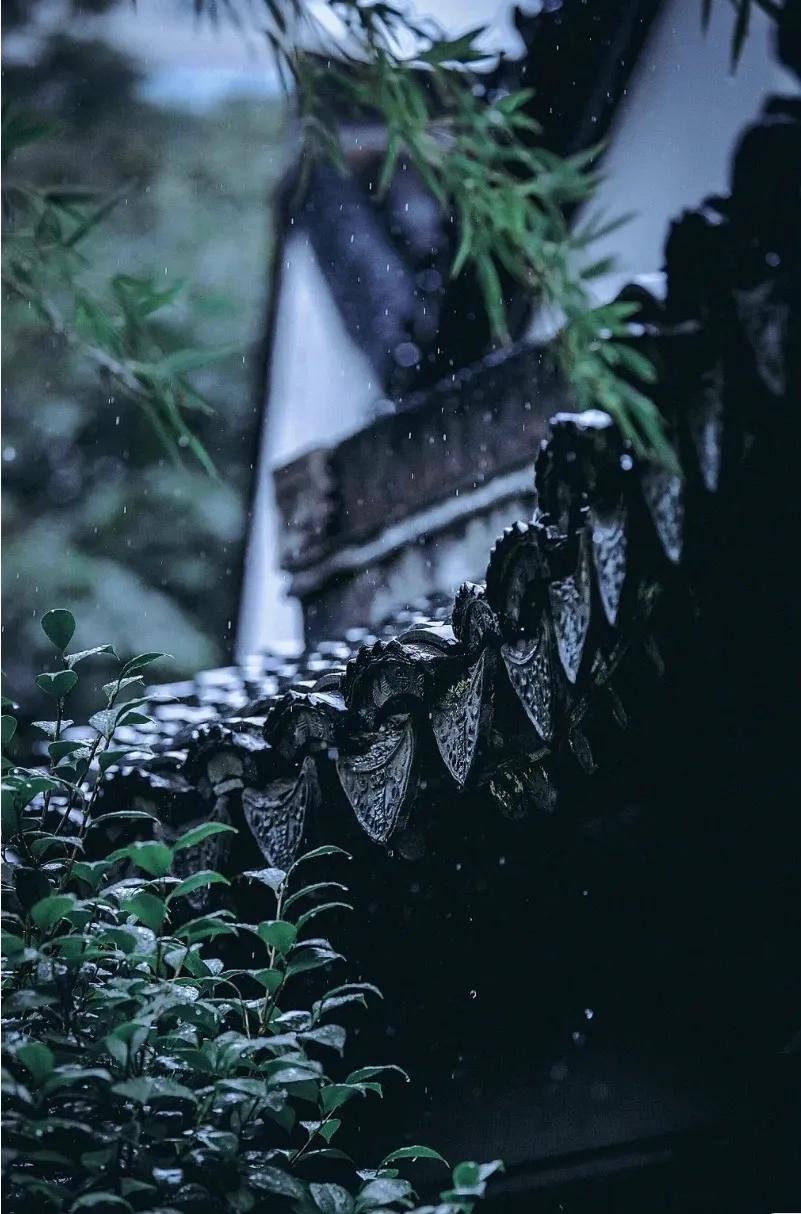 风雨无阻励志故事,风雨无阻相关的句子