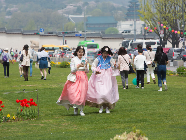 2018中国游客暴涨,五一赴韩游客量暴涨辟谣