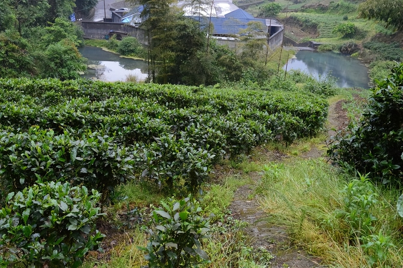 宣恩一座小城,湖北宣恩美丽的小城