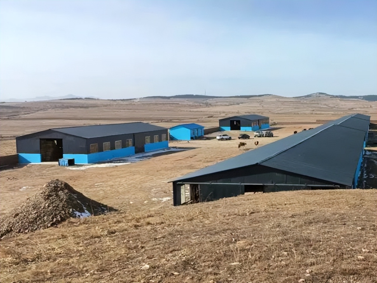 库伦旗养殖新政策,库伦旗养殖致富