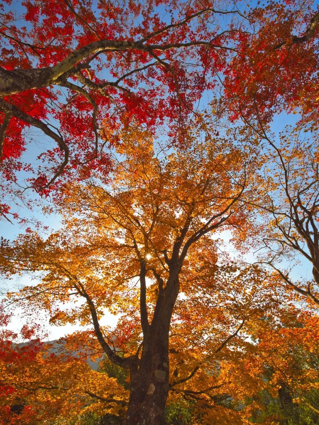 每周摄影点评第17期,适合手机拍的时尚摄影作品