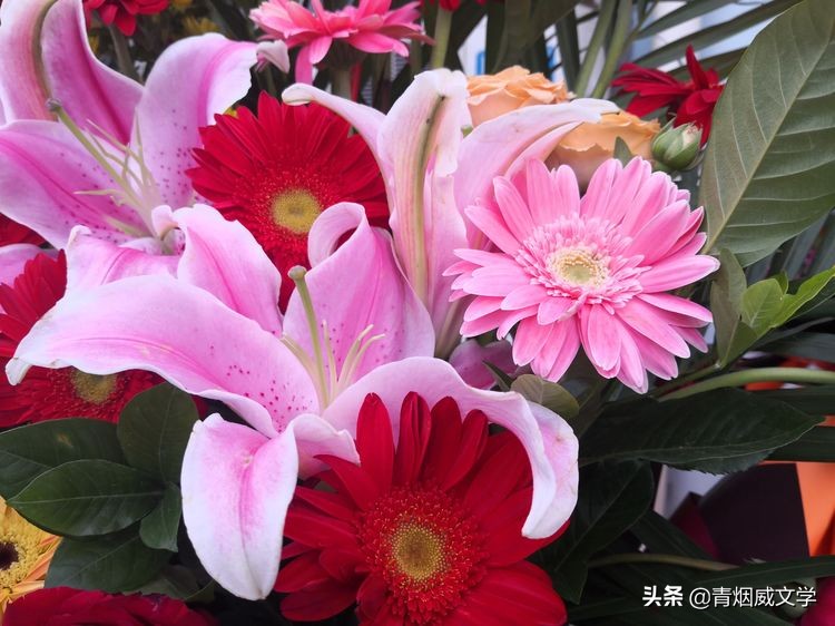 一起向未来冬奥会歌曲简谱,一起向未来奥运会歌曲