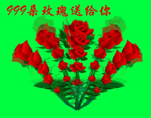 一组开心的萌兔送给大家请欣赏