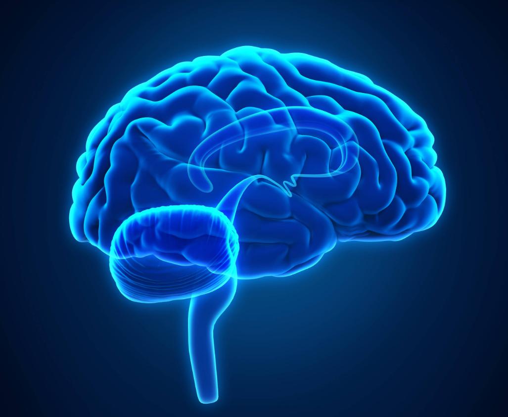 人类的大脑到底有多强大,人类的大脑是多少g的内存