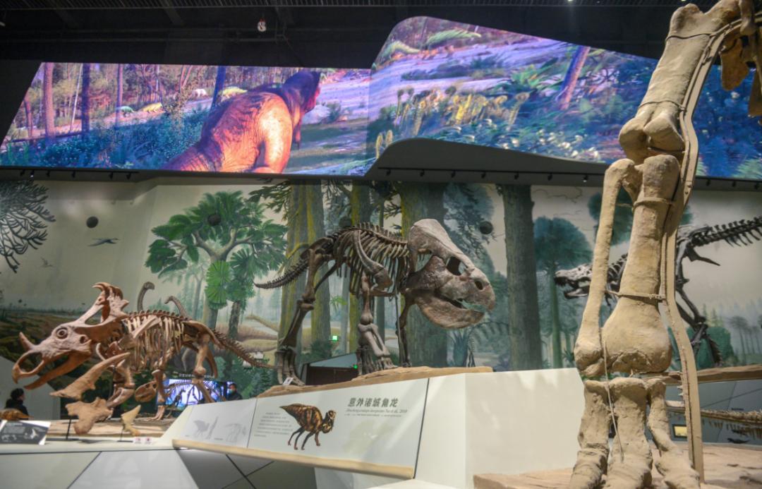 中国十大恐龙图鉴,100种恐龙名字图鉴图文