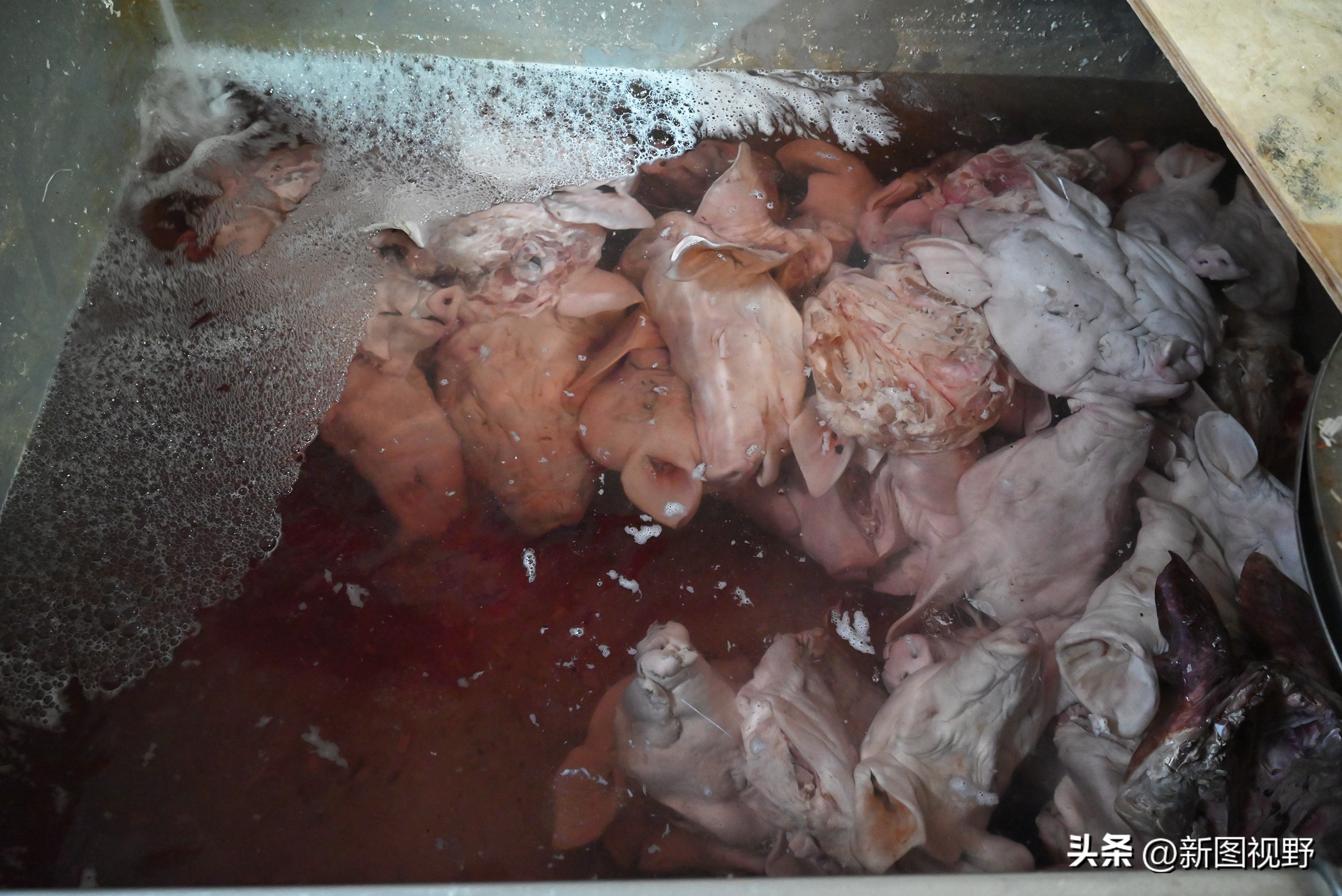 农村夫妻秘制“下酒菜”，4个月卖掉5000多个猪头，进账100多万元