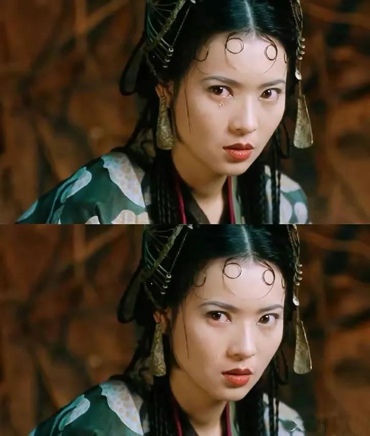 蓝洁瑛案件最新结果,蓝洁瑛被侵案嫌疑人简介