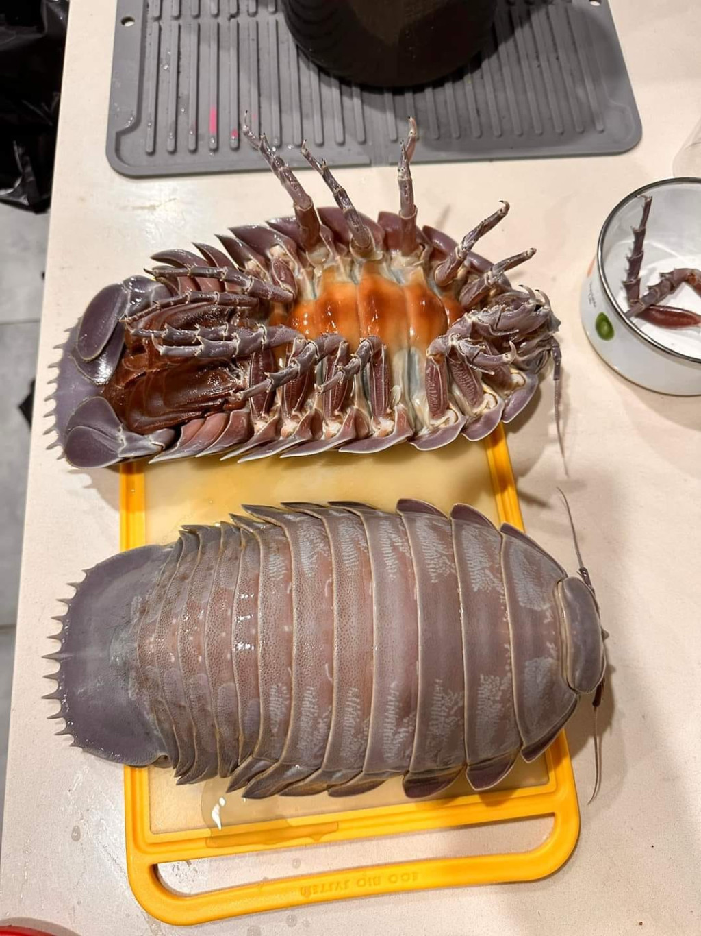 你敢试吗？港人葱姜清蒸“深海巨虫”配饭！网友：好像大号蟑螂…