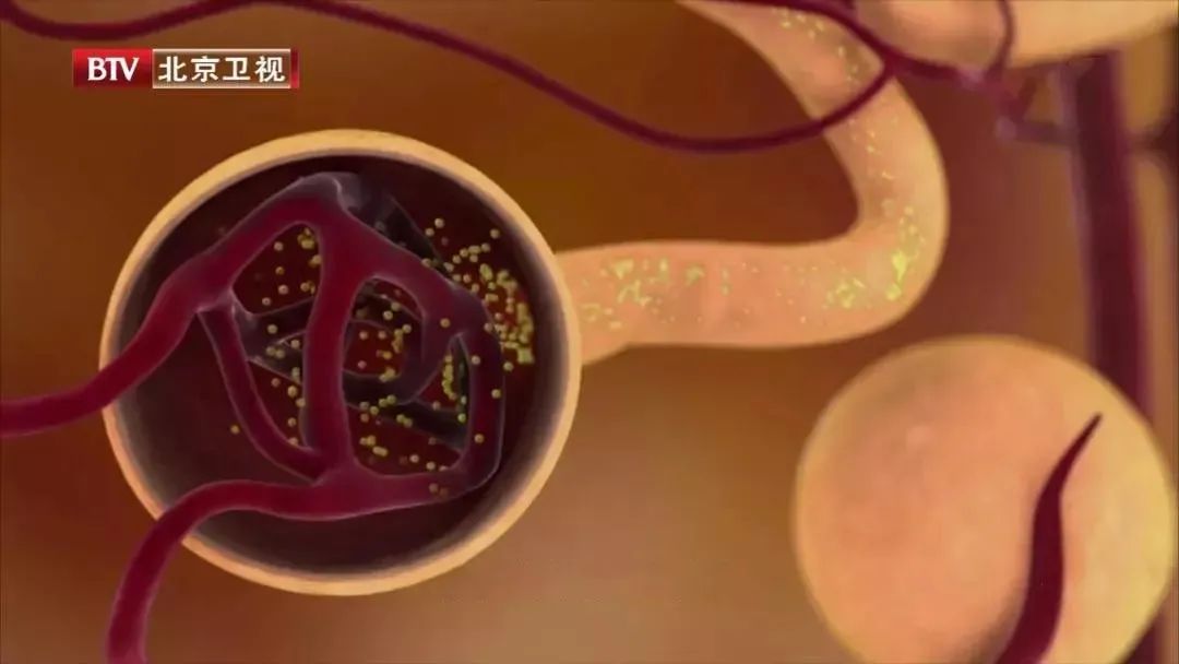 起夜频繁是得了夜尿症吗,经常起夜夜尿多是什么原因