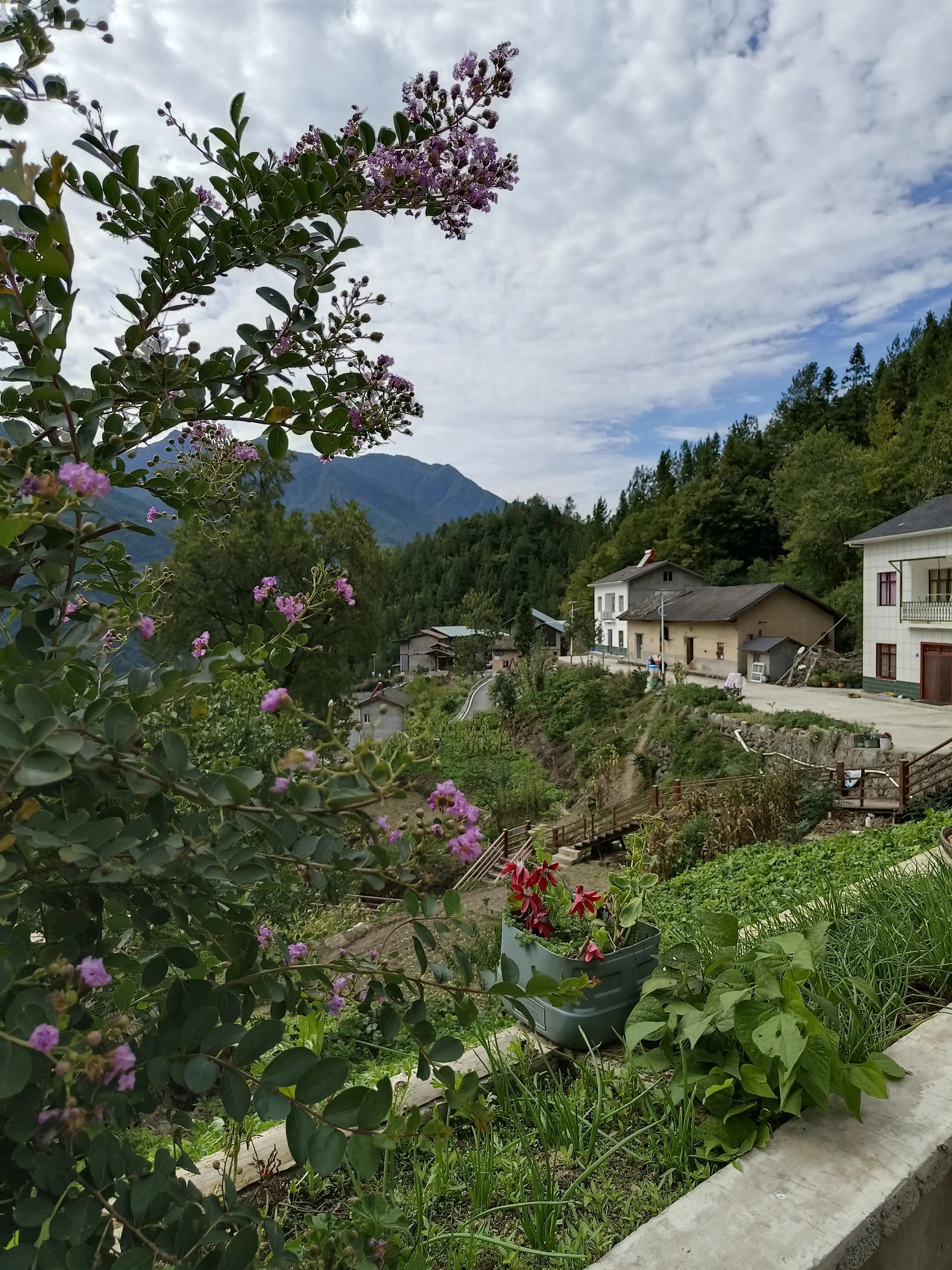 神农架上的民宿,神农架风景民宿推荐