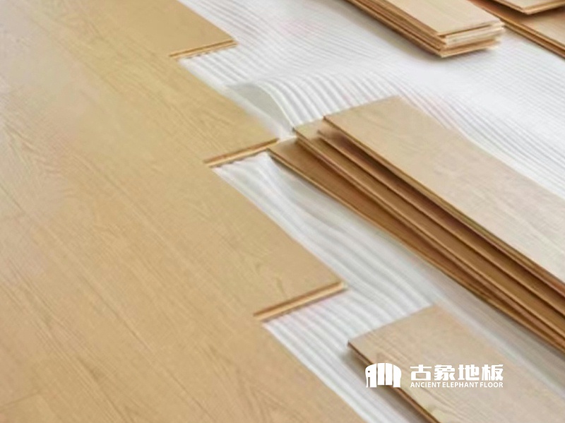 防水防潮防霉木地板,木地板防潮防霉的小妙招