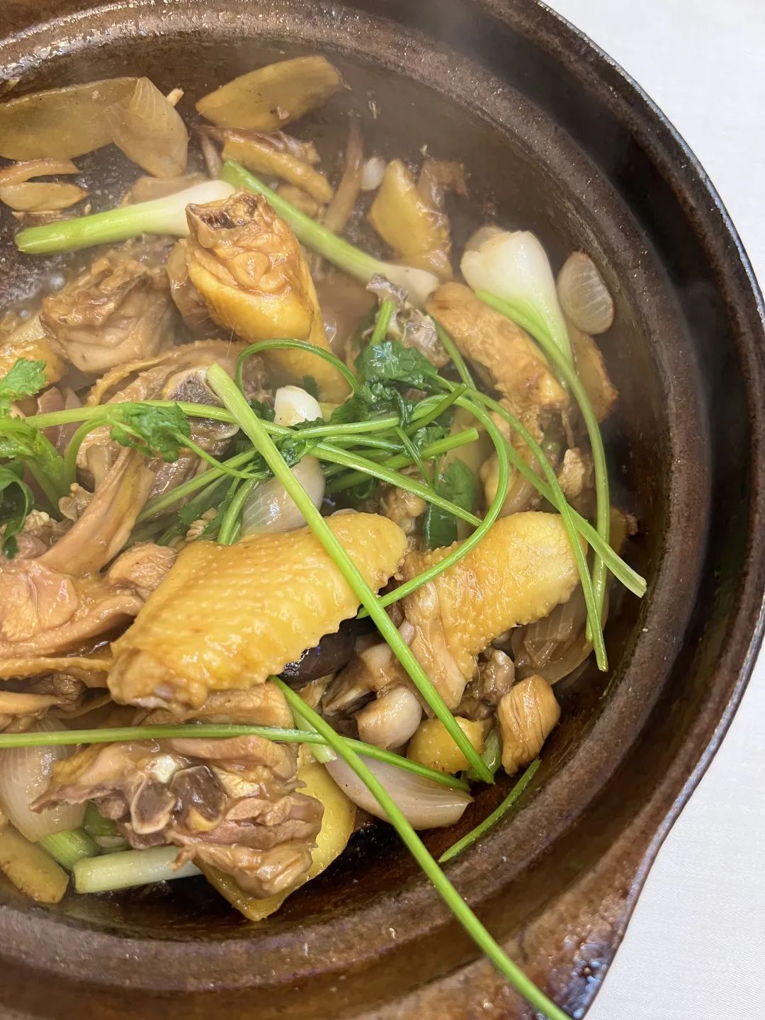 广州米其林指南2024,广州老店米其林2023榜单