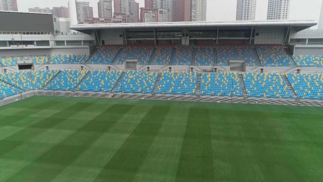 天津市滨海新区泰达足球场比赛,泰达足球场比赛日